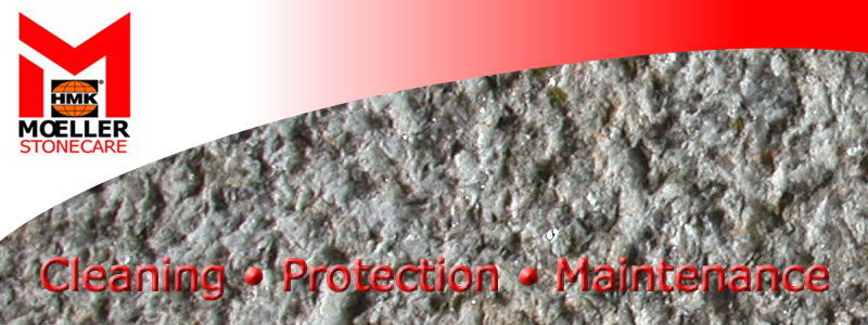 Top of page image