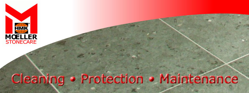 Top of the page image