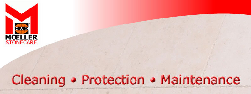 Top of the page image